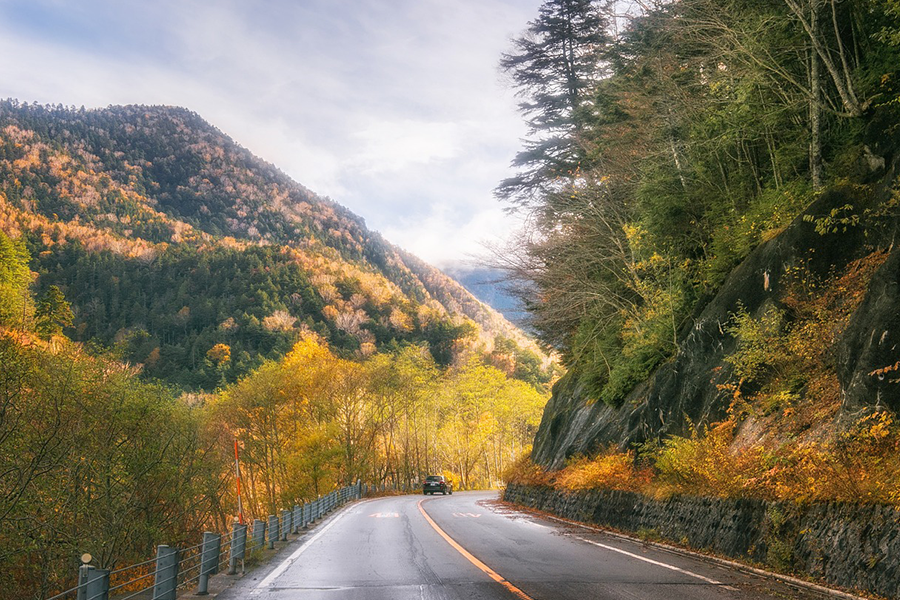 山間の道路を走る風景写真